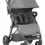 BabyStyle Oyster zero Gravity Mercury
