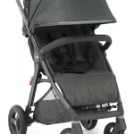 BabyStyle Oyster zero Gravity Pepper